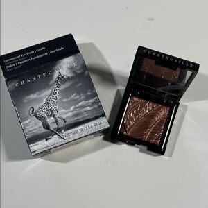 Chantecaille Eye Shade in burnished brown